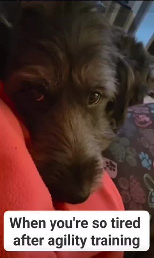 Join the Waiting List for Your New Sofa