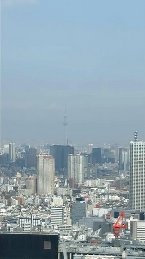 東京都庁展望台から眺める街#東京都庁展望台 #スカイツリー #森ビル #都庁 #展望台 #新宿
