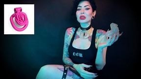 Wear the clitty chastity for a month, let's shrink your leftover shrimp - LOCKTOBER, SPH , SHRINKING - FoxPorns.Net