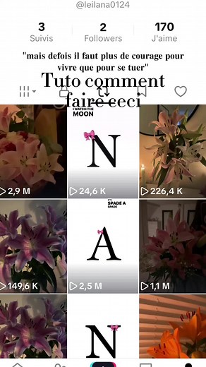 Learn to Identify the Lys Flower Easily