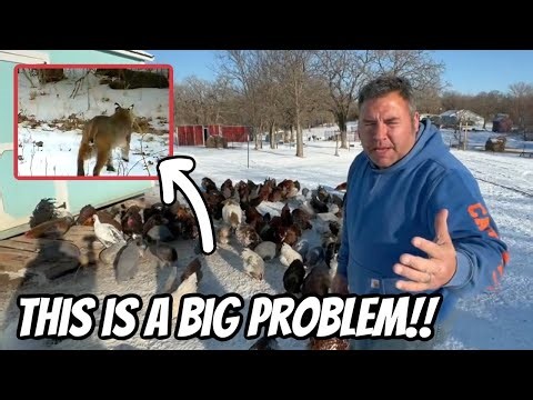 They Are All In Danger Now!! we Are On High Alert!!