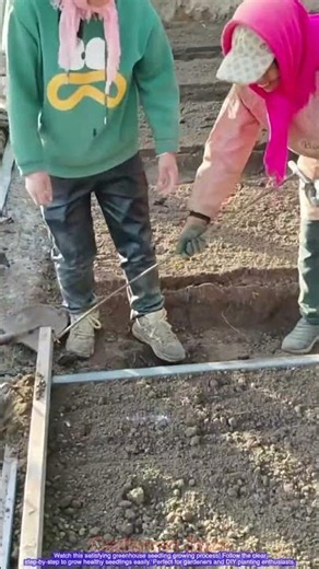 Greenhouse Seedling Growing Process | Satisfying Step-by-Step Guide