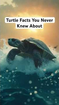 Turtle Facts That Will Blow Your Mind: