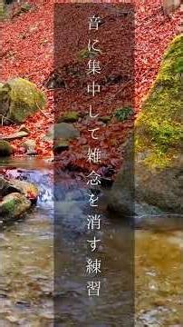 １分で出来るマインドフルネス｜雑念を消し思考を整える#mindfulness #マインドフルネス #マインドセット #瞑想