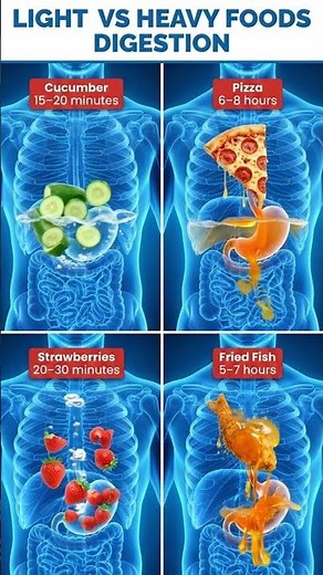 Light Foods vs Heavy Foods — What Happens Inside Your Stomach 😱