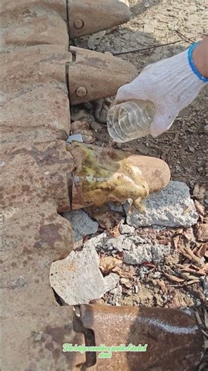 Tayer solution for rust removal on metal