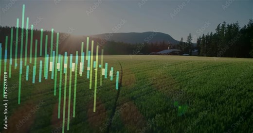Audio visualizer appearing at left edge and growing across sunlit field, visualizing audio dynamics