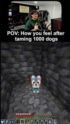 1000 Wolves in Minecraft #minecraft