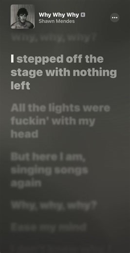 Shawn Mendes 'Why Why Why' Sped Up Version