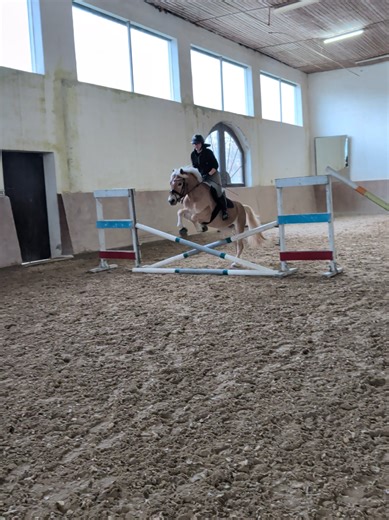 Alanis Comeback: Wieder am Antrainieren!