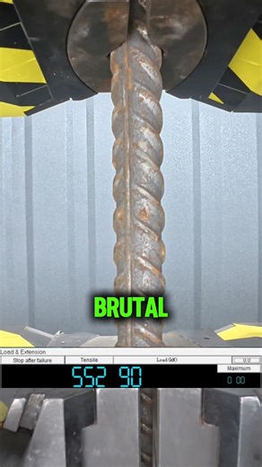 They Pulled It Until It Snapped — And What Happened Shocked Everyone