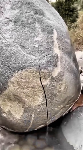 Sultan English (@sultanenglish1)’s videos with âm thanh gốc - Tâm trạng - userthuhoai81