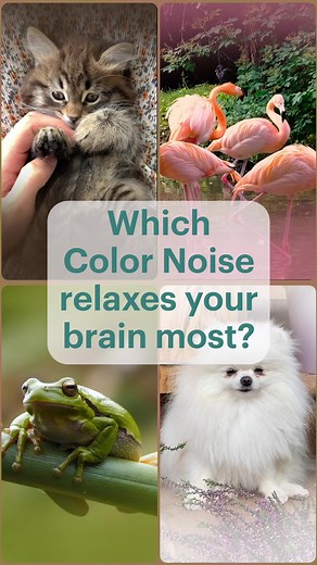 Curious about the soothing sounds of Color Noises to help you get a good night's sleep? Research says they’re like a buffer for your brain, masking any disruptive noises—like a car door slamming or the tap running—that might wake you up. 🤎 Brown Noise has similar sound frequencies as those found in waterfalls, crashing waves, and rumbling thunder. 🤍 White Noise resembles the sounds of fans, TV static, and airplanes. 💗 Pink Noise evokes the sounds of light rain, wind, and rustling leaves. 💚 G