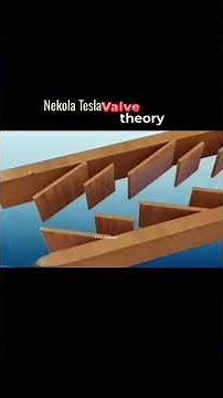 Nekola Tesla valve theory #tesla #creator