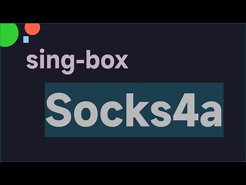 使用 sing-box 在 Linux Ubuntu 20.04 服务器下搭建 socks5 socks4 socks4a 代理 带用户名密码认证