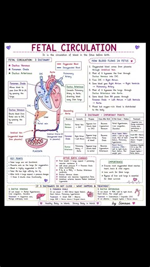 Nursing Notes | Simple & Easy Study Notes for Nurses & Students #nursingofficer #norcet #bscnursing