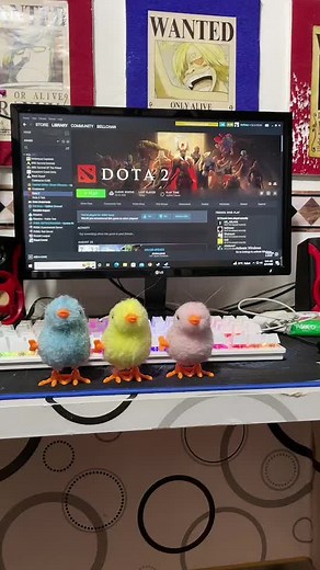 Dota 2 Gameplay with Colorful Fuzzy Toy Birds