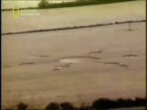 Olivers Castle Crop Circle Hoax (Is It Real)