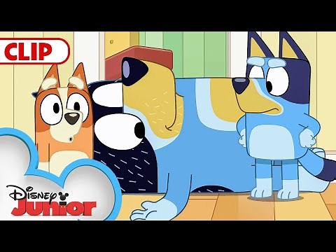 Bluey Season 3 Episode 25 "Ragdoll" Episode Clip | @disneyjr | Bluey​