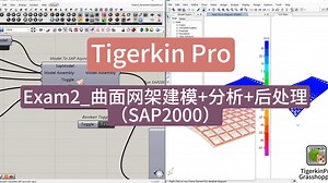 Exam2_曲面网架建模+分析+后处理（SAP2000）