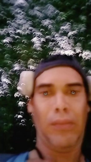 ange des tenebre sur TikTok