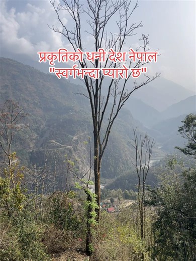 Nature never goes out of style 🌿 #goviral #jhapalimuser #pramodpokhrel #fyppppppppppppppppppppppp #phidim_pachthar