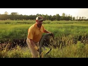 Watering Food Plots - The Management Advantage