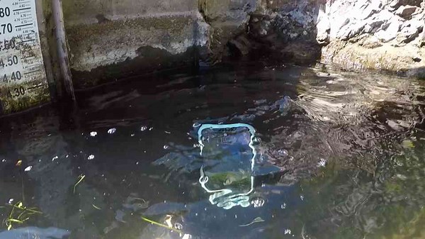 Found iPhone X, iPhone 7 and iPhone 6s Underwater in the River! (Owner Was Stranded!)