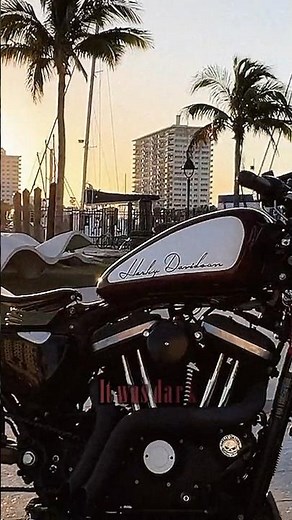 Why 883 Iron is Legend? #americanmotorcycle #cruisermotorcycle #harley883 #harleydavidson