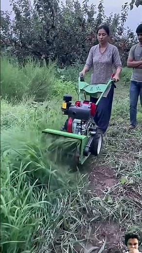 Taming the Orchard: Walk-Behind Brush Mower in Action 🌿🚜 #shorts
