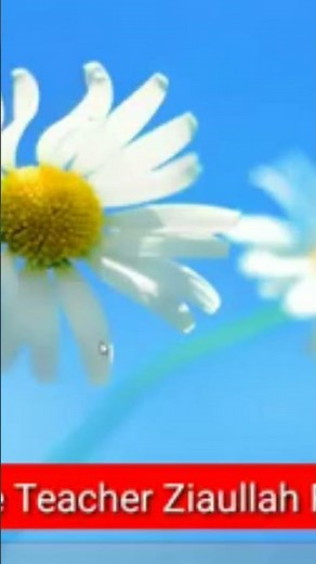 📌 Microsoft Excel Full Course – Lesson 2 | Essential Excel Skills for Beginners