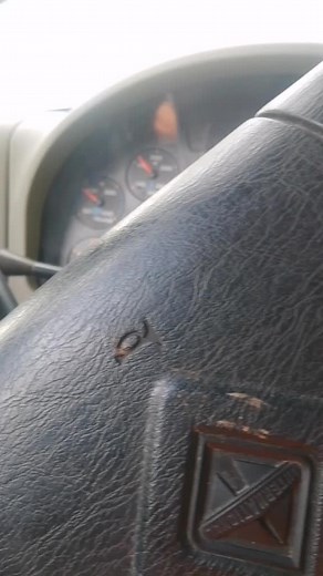 nestorcardoze on TikTok