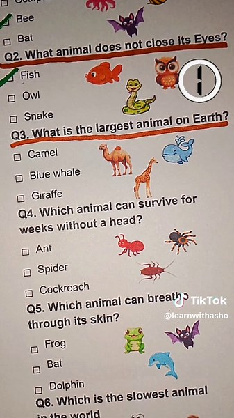 Test Your Knowledge with This Fun Animal Quiz
