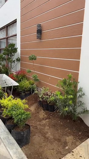 the making of our front garden 🪴 #house #landscape #design #garden | Garden Design Ideas