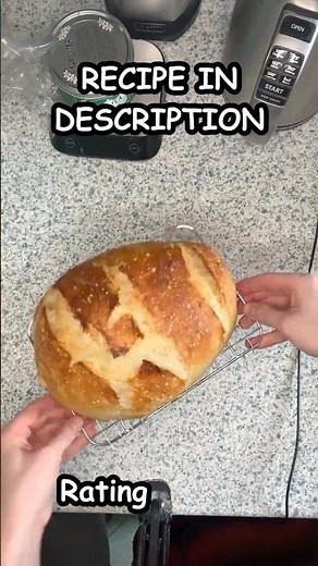 No Knead Bread in a Dutch Oven 4 Ingredients, No Mixer, Perfect Crust