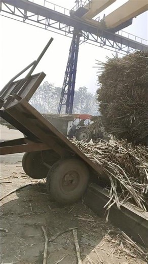 kumbhi chini mil #farmer #shortvideo #villagelife