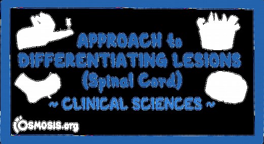 Approach to differentiating lesions (spinal cord): Video & Meaning | Osmosis