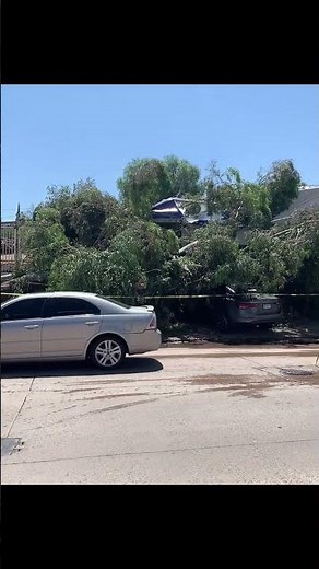 Fuertes lluvias en Nogales Sonora