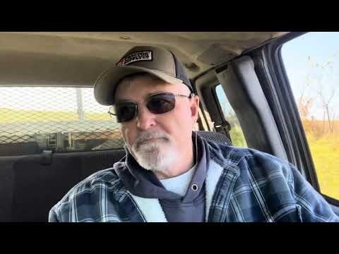 cows along with the different colors #farming