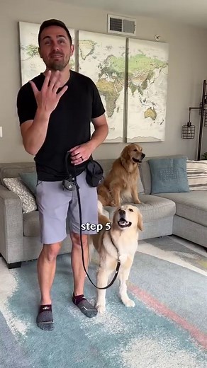 499K views · 7.6K reactions | How I Taught my Dog Polite Greetings...