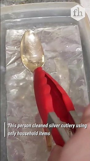 Satisfying Silverware Cleaning