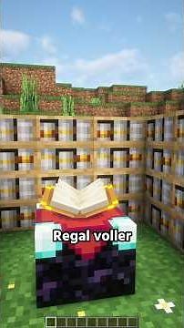 Chiseled Bookshelves aber in GEIL… #minecraft #minecraftmods #minecraftdeutsch