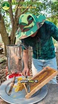 Trải nghiệm thực tế lấy mật ong rừng Cúc Phương.🐝🐝🐝😬
