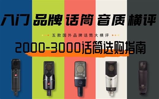 【话筒横评】2000-3000价位国外品牌专业话筒大横评！SE 2200、SE X1S、森海塞尔MK4、罗德NT1 kit、AKG 214横向对比