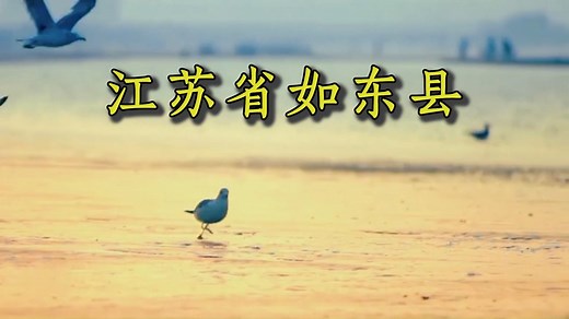 快速了解中国的县（市、区）：江苏省如东县
