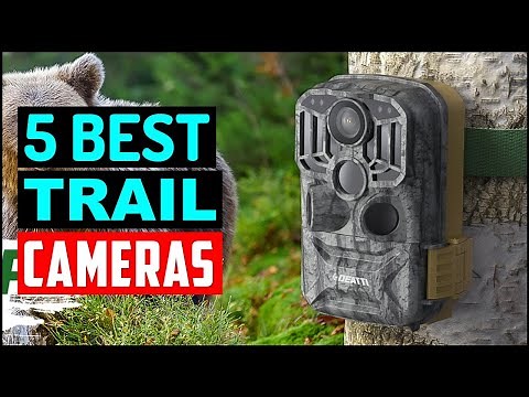 Top 5 Best Trail Cameras 2024 | 4K Trail Camera, Reviews