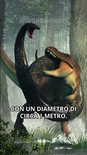 Titanoboa - Il serpente più grande mai esistito