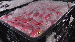 16K views · 149 reactions | Grande opération de contrôle de bateaux de pêche étrangers réalisée ce lundi par la Direction de la Mer. Objectif, préserver les pêcheurs locaux d'une concurrence étrangère déloyale | ViàATV | Facebook