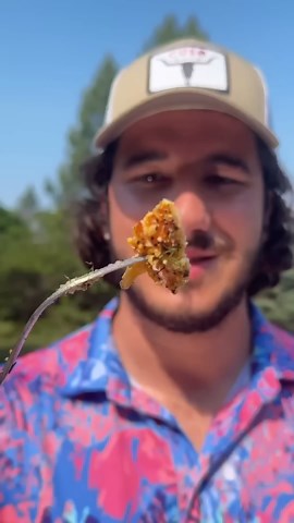 Salmon vs. Trout: Catch, Cook, and Compare