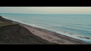 2.5K views · 203 reactions |  20 years in 20 minutes! We know the festive season is a busy time, so we’ve put together a shorter version of our anniversary film for you to enjoy. Walk alongside us as we revisit the tragedies and triumphs and meet the people and animals who have defined two decades of Soi Dog Foundation – all in just 20 minutes. The full 45-minute version is available here: https://www.youtube.com/watch?v=x9H08U9wUjM #SoiDog20Years 李 | Soi Dog Foundation | Facebook